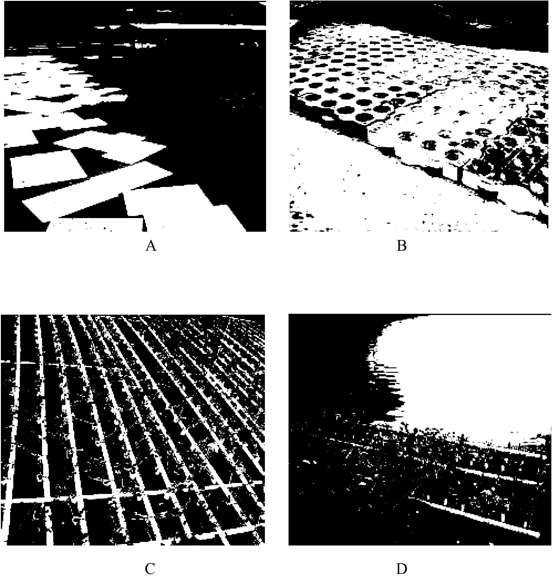 Method for ecologically remedying water by utilizing aizoon stonecrop