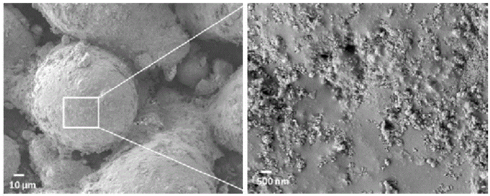 High performance super-amphiphobic conductive multi-functional corrosion-resistant coating and preparation method thereof