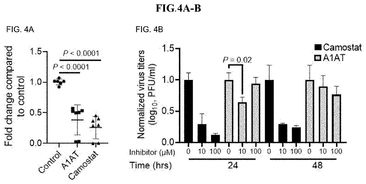 Methods for treating coronavirus infection