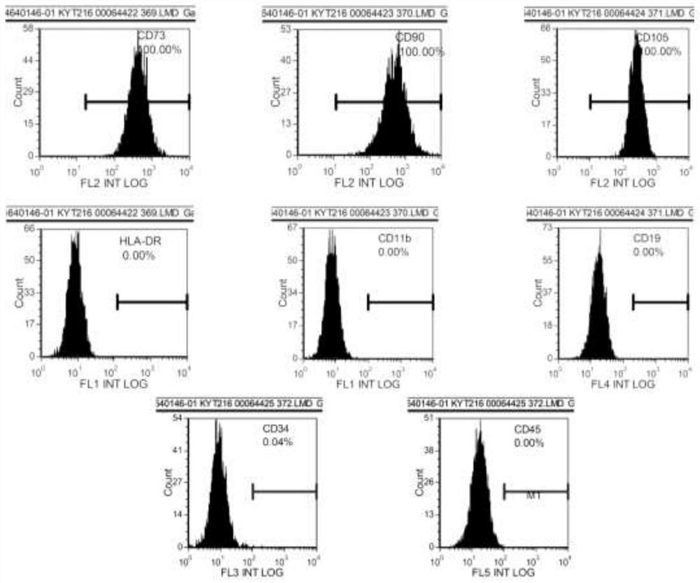 Refrigeration protection liquid and preservation method for mesenchymal stem cells