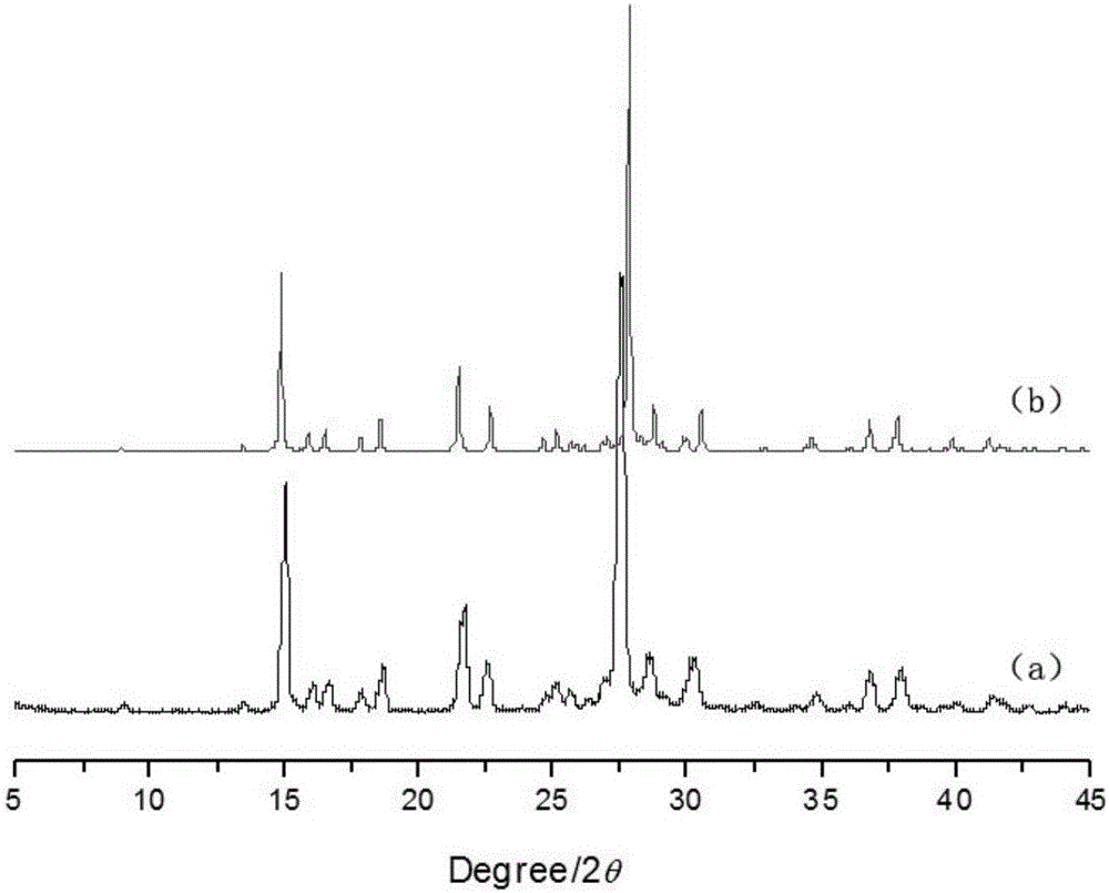 Glycine anhydride eutectic serving as medicinal premixing adjuvant, preparation method and application