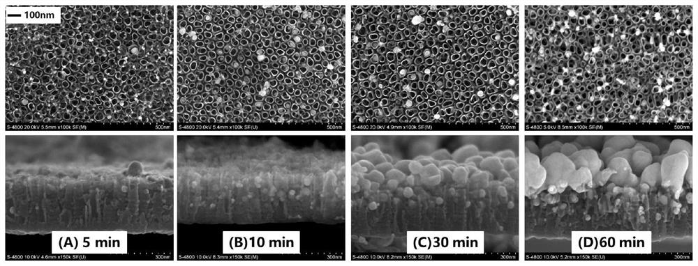 Method for depositing nanogold on surface of titanium dioxide nanotube array