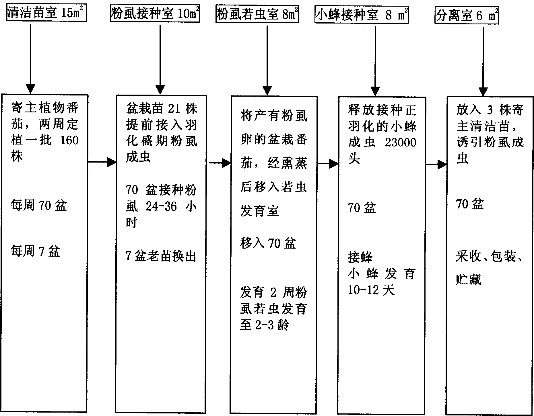 Artificial progagation method for Encarsia formosa