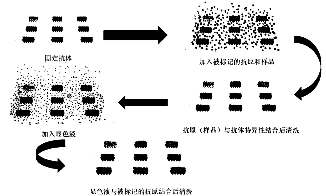 Method for simultaneously detecting residual amount of quinolone antibiotics