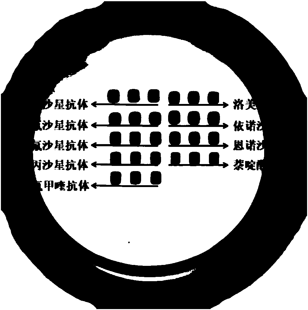 Method for simultaneously detecting residual amount of quinolone antibiotics