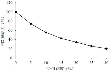 Extraction of salt-resistant protease and application method for shortening fish sauce fermentation time