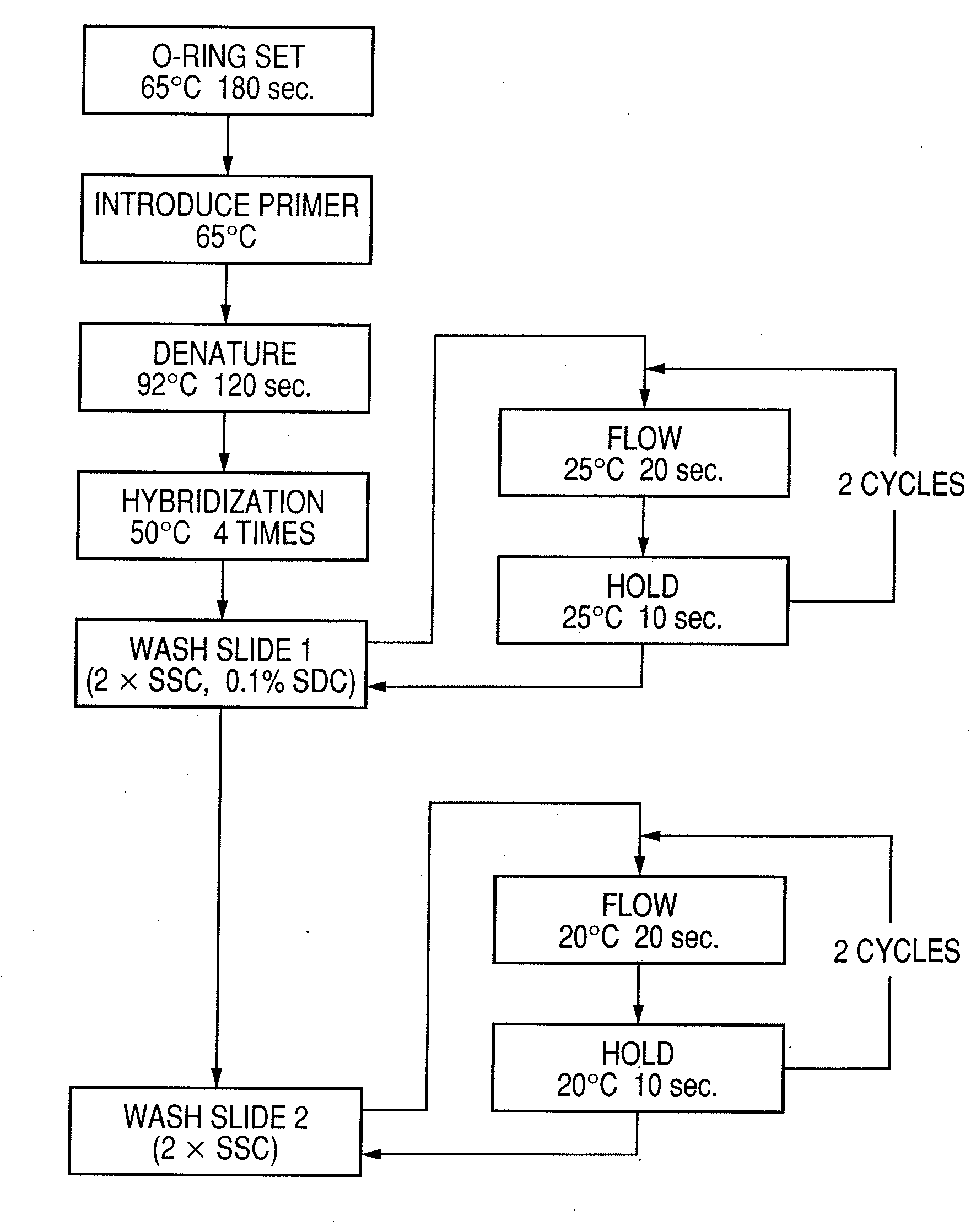 Probe, probe set, probe carrier, and testing method