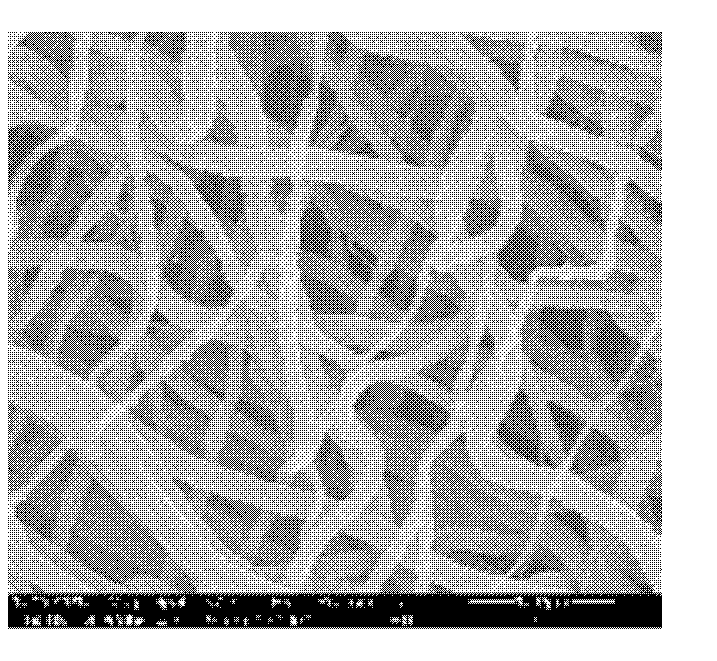 Surface modification method of aliphatic polyester electrospun fiber by using sodium alginate and gelatin