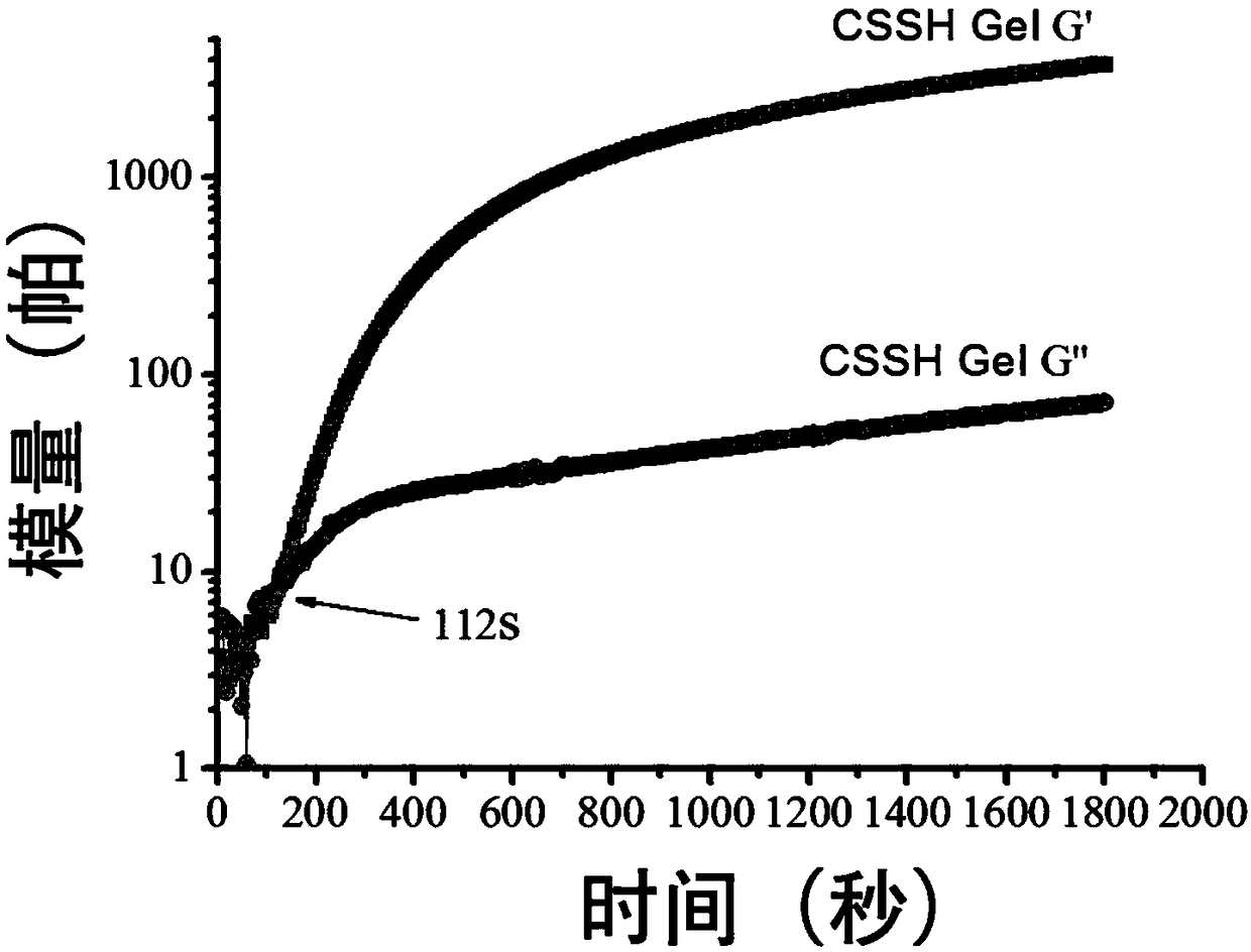 Preparation method and application of in-situ injection molded thiolated polysaccharide-based hydrogel and drug carrier thereof