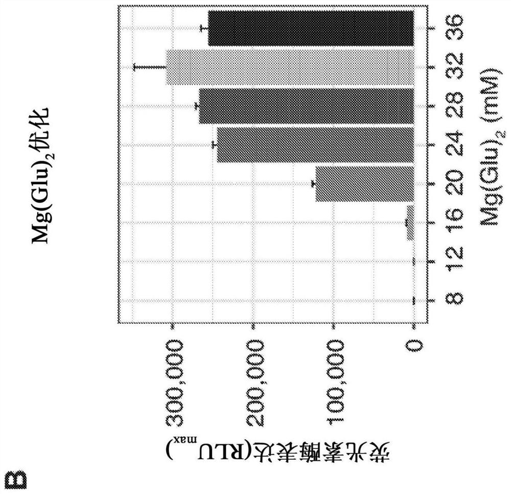 Cell-free protein synthesis platforms derived from clostridia