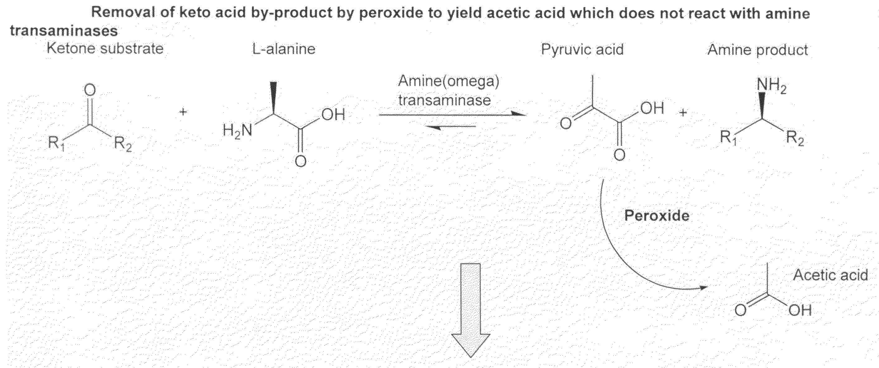 Method to increase the yield and improve purification of products from transaminase reactions