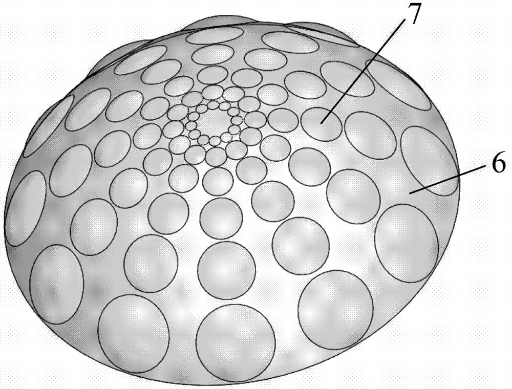 Wide view field logarithm pole coordinating mapping imaging method based on curve surface lens array