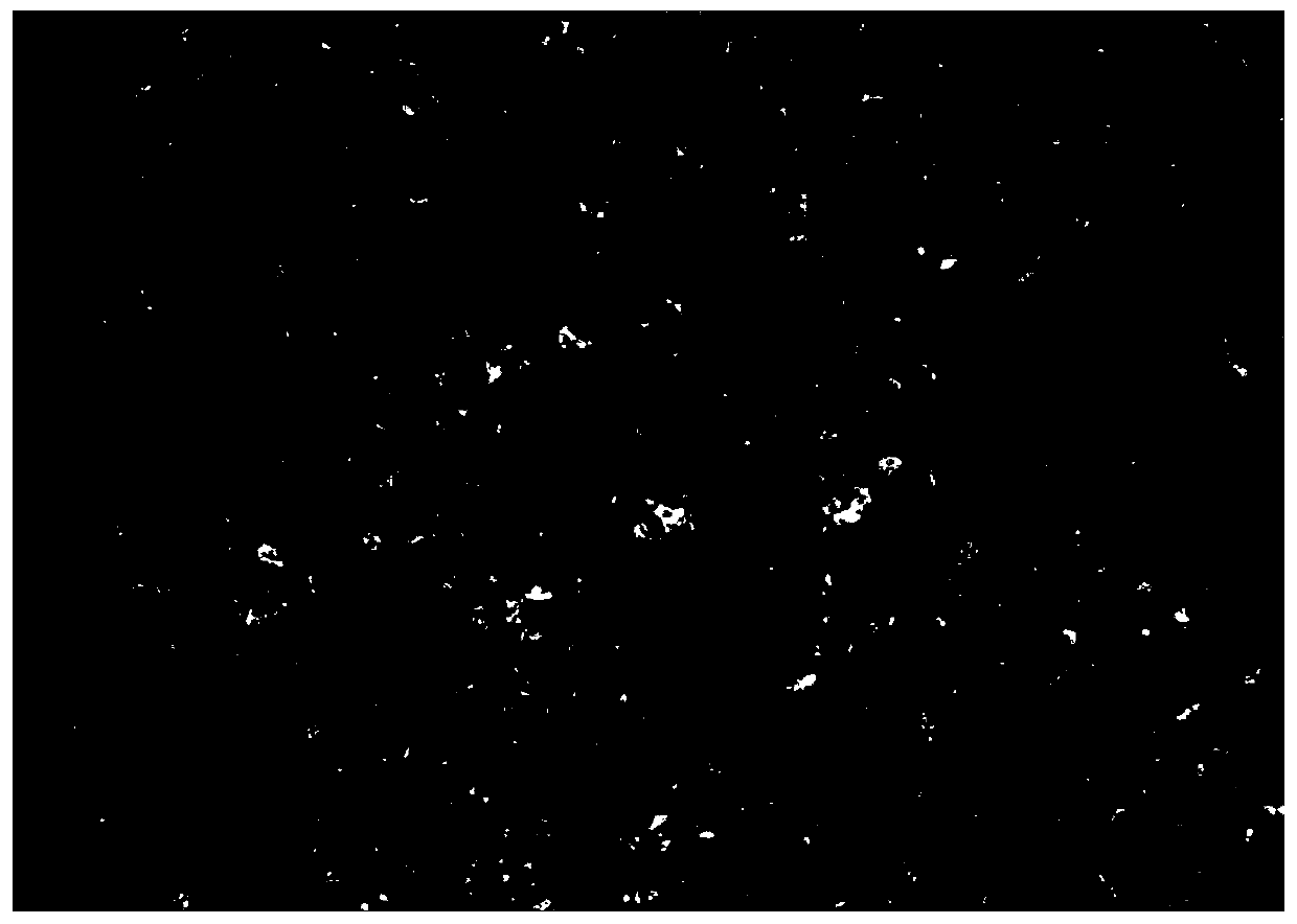 Application of polyethylene glycol to dyeing animal tissue section grease