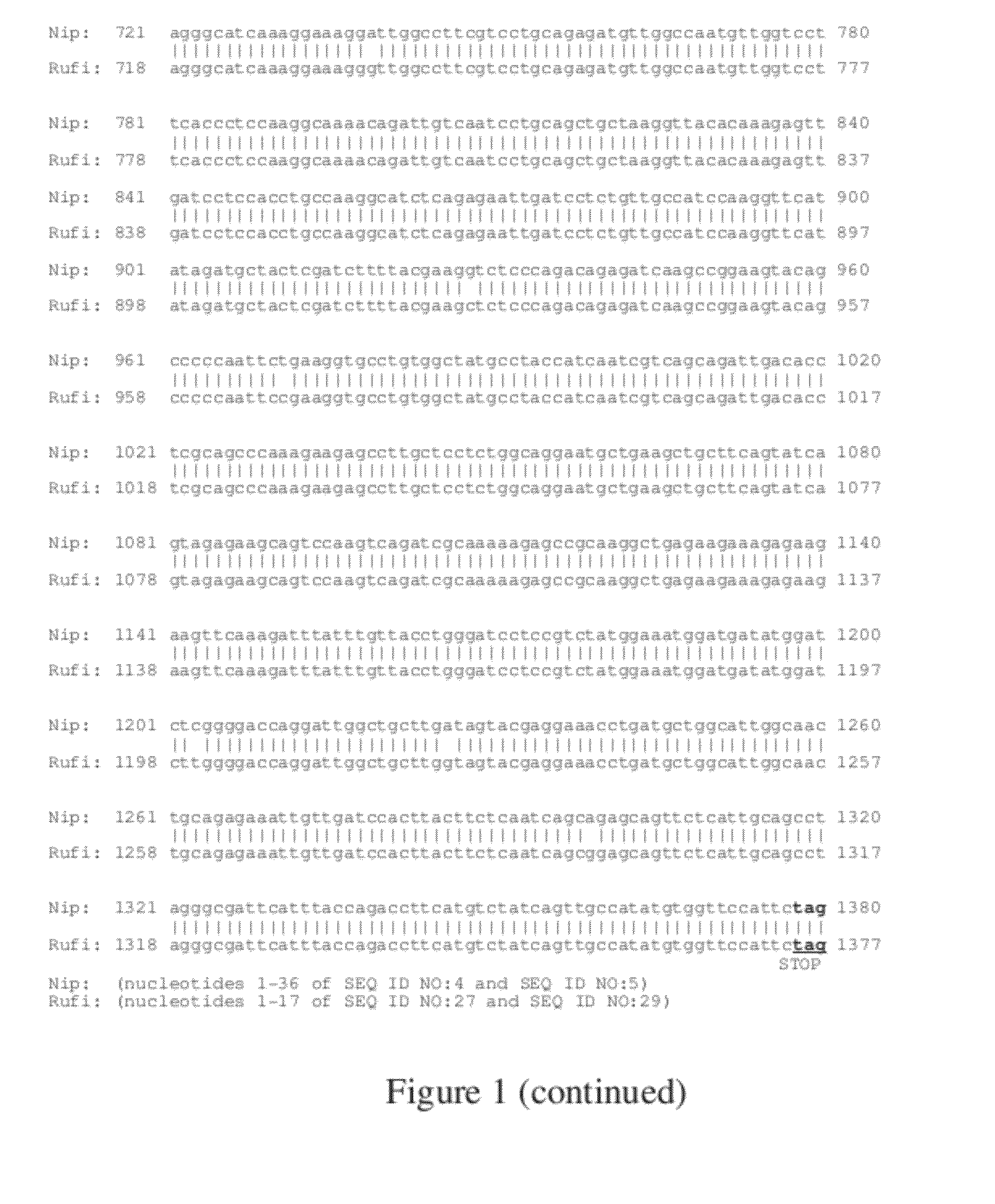 EG1117 Polynucleotides And Uses Thereof