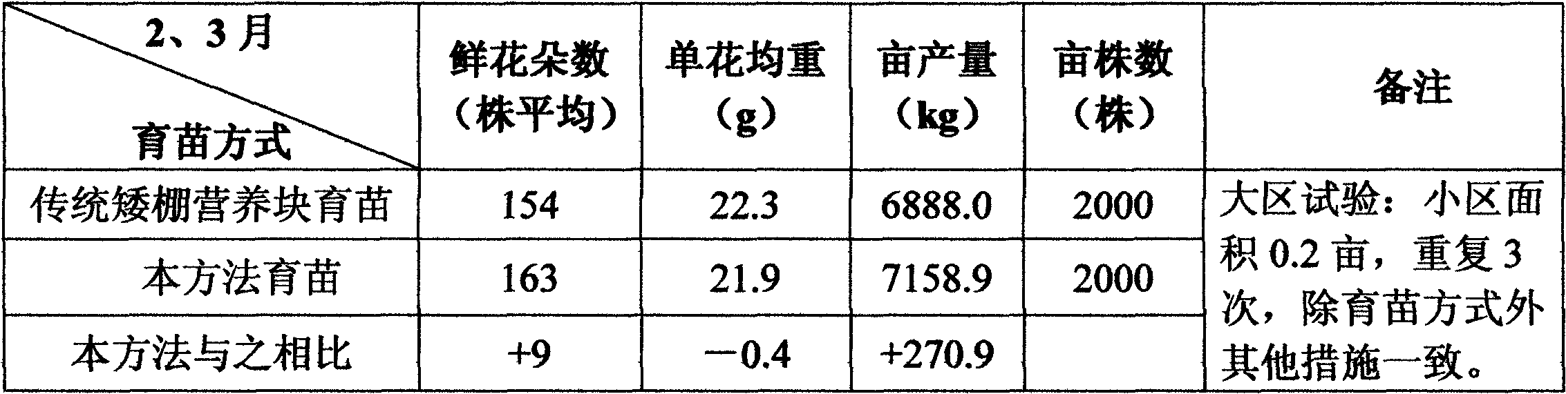 Seedling raising method for pigment marigold