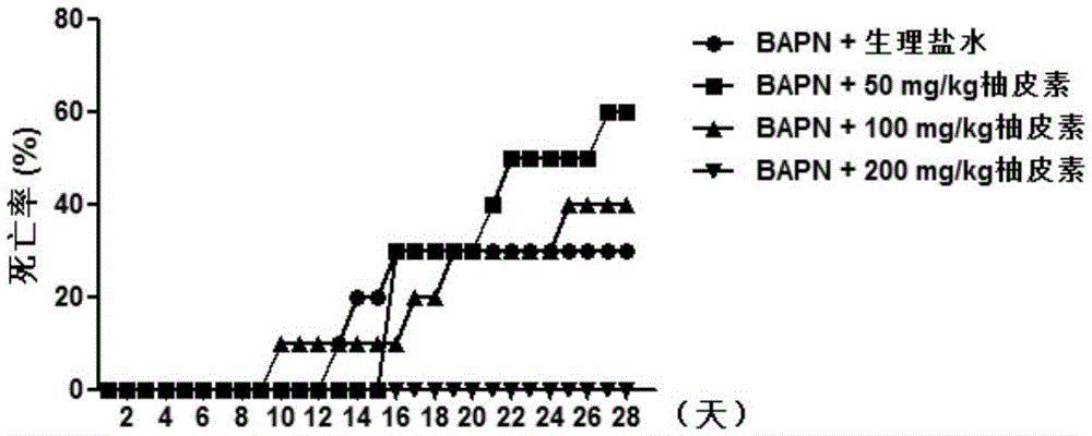 Application of naringenin to preparation of drugs for preventing and/or treating aortic dissection