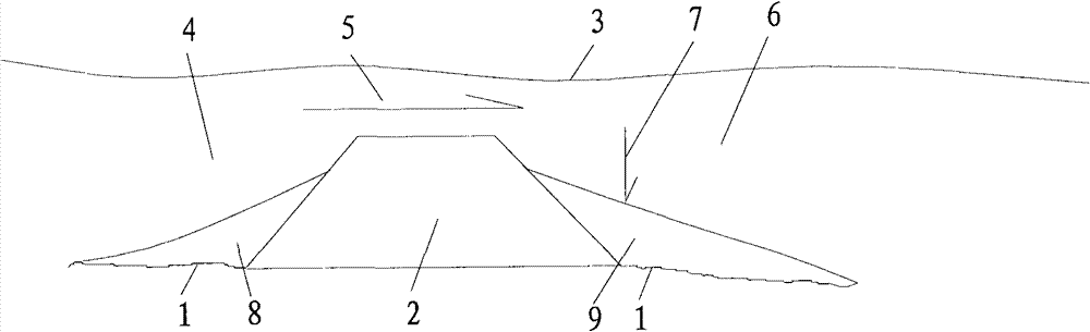 Water gate structure used in reclamation of land from sea and dam construction and exchanging method of water body in reclaimed area of dam