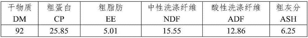 Hybrid paper mulberry silage and application thereof