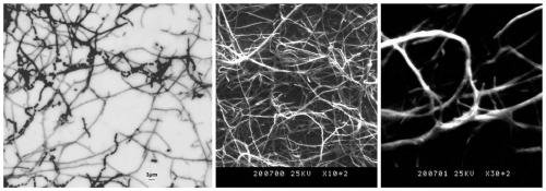 A Streptomyces polysaccharide-degrading bacterium and its cultivation method and application