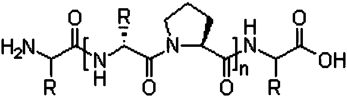 Hydro lifting serum and preparation method thereof