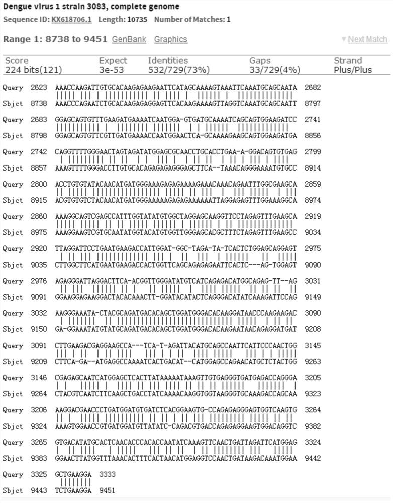 Specific primer, probe and kit for detecting Chinese soft-shelled turtle flavivirus