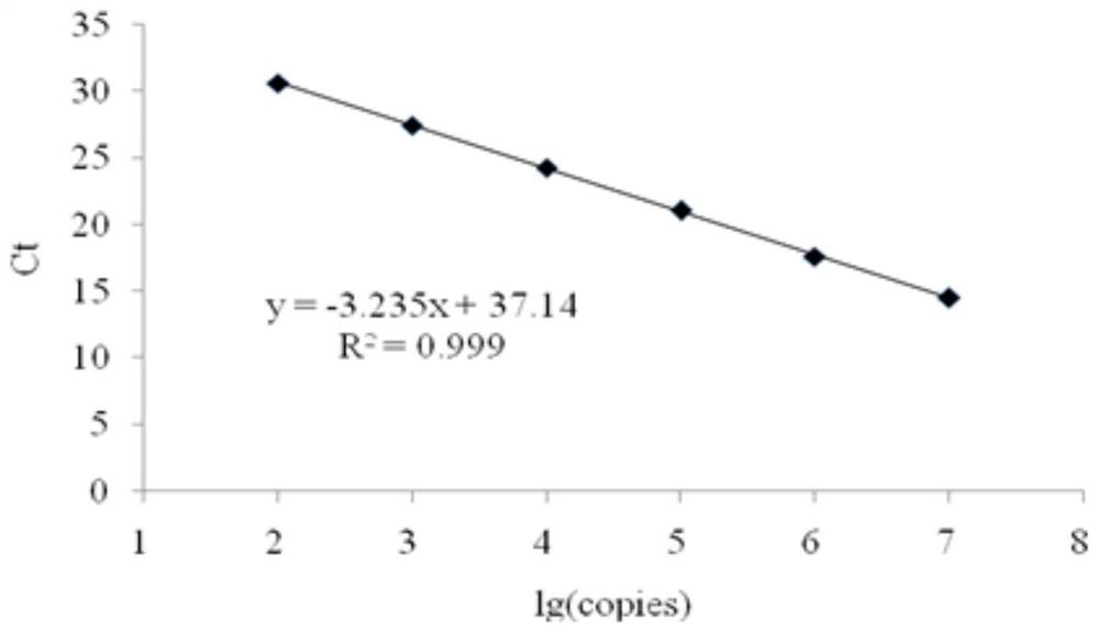 Specific primer, probe and kit for detecting Chinese soft-shelled turtle flavivirus