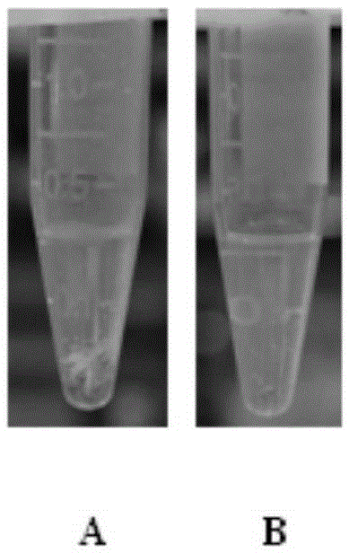 Lysis solution and method for extracting ancient biological bone DNA