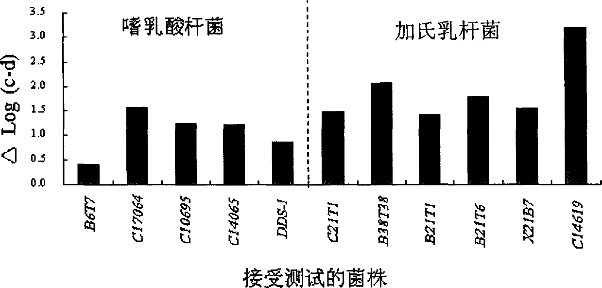 Acid and choline-resistant separated strain of lactobacillus with ability of reducing and assimilating cholesterol