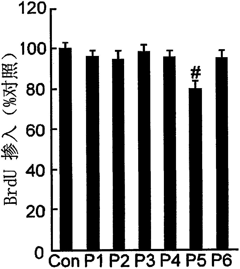 Polypeptide and pharmaceutical composition containing the polypeptide