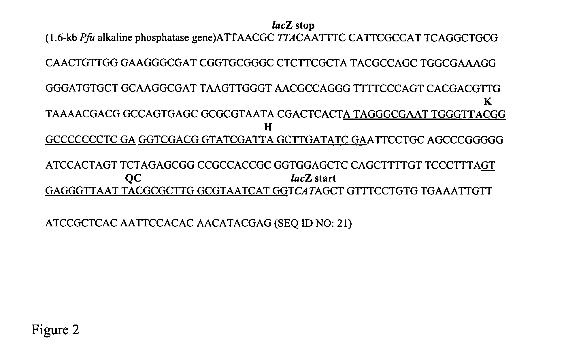 Multi-site mutagenesis