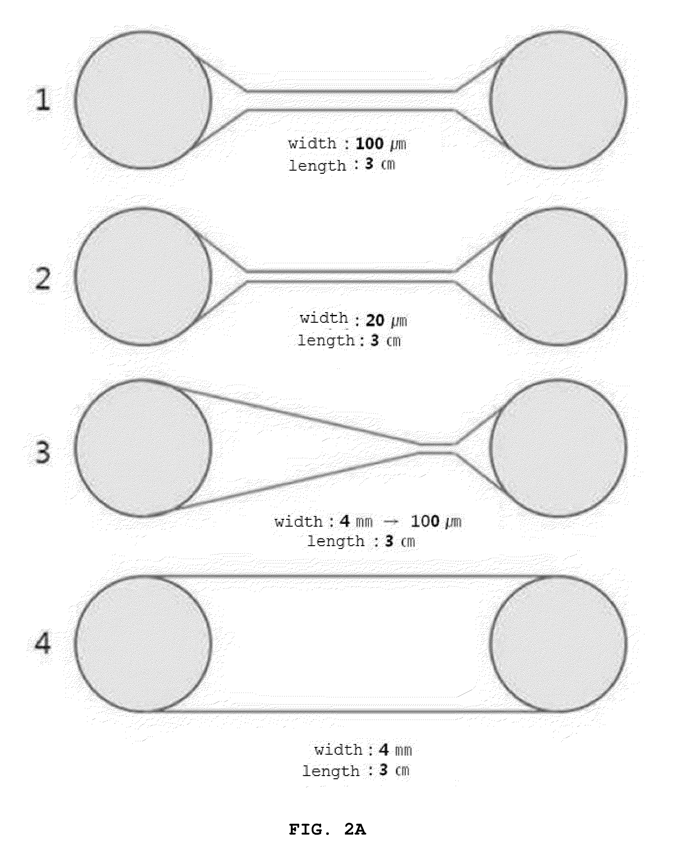 Discrimination method for mutation-induced unicellular organism and microfluidic device used therefor