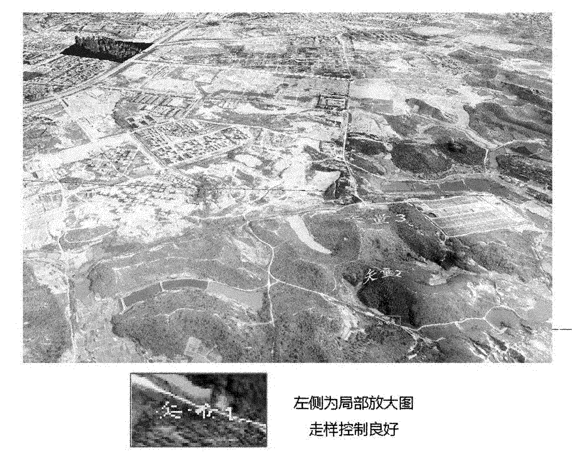 Cascade-based method for seamlessly superposing two-dimensional vectors on three-dimensional topography surface