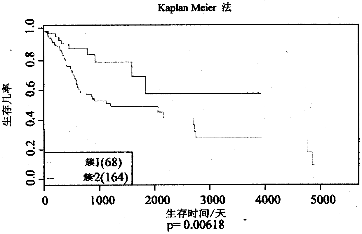 Application of lncRNA in preparation of products for predicting prognosis of head and neck squamous cell carcinoma