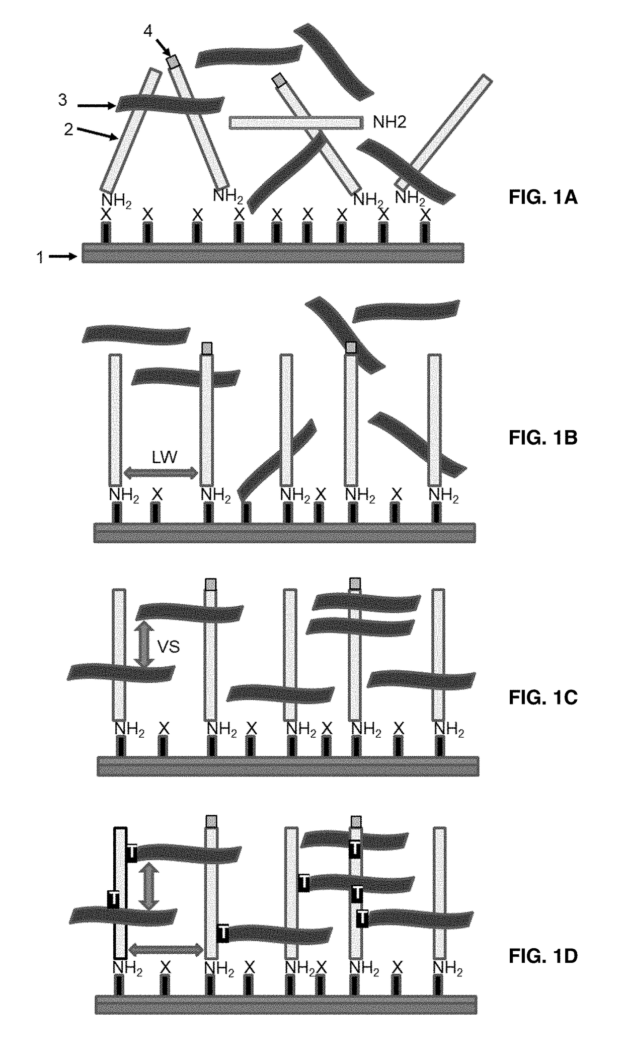 Microarray Based Multiplex Pathogen Analysis and Uses Thereof