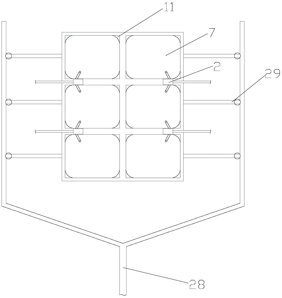 South American eel integrated culture system