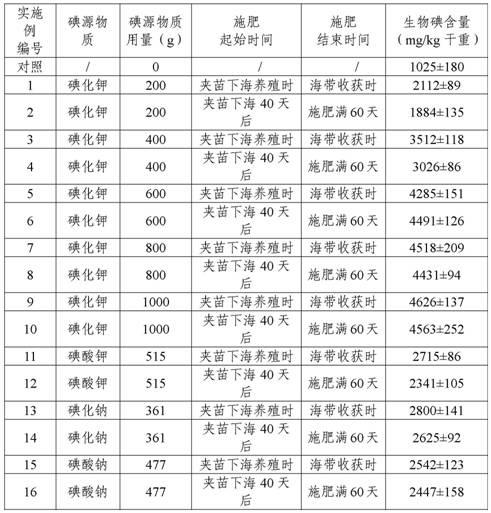 Kelp with ultrahigh iodine content, and cultivation method and application thereof