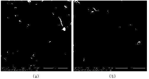 Preparation method of fusible multilayer composite asphalt filling bag