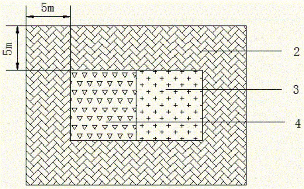 Grazing-resistant bio-environment creation method for submerged plant planting and propagation