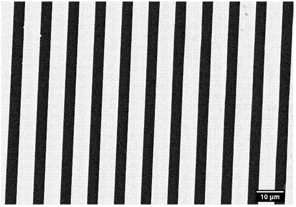 Fluid device for controlling microtubule movement direction, its preparation method and application