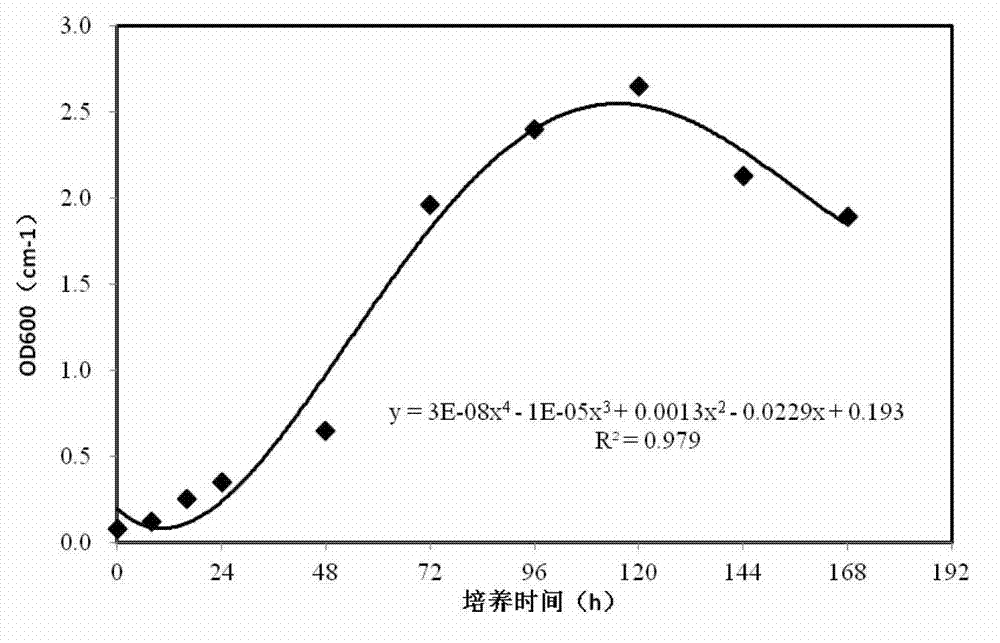 Denitrifying phosphate-accumulating organism with nitrogen and phosphorus removal functions and applications thereof