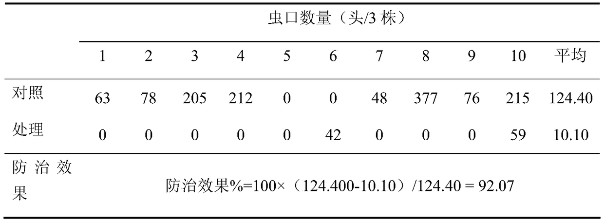 Method for adopting rhizosphere trickle irrigation for pesticide and fertilizer application to prevent and treat dysmicoccus neobrevipes (Beardsley) and mealybug wilt of pineapples