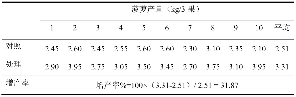 Method for adopting rhizosphere trickle irrigation for pesticide and fertilizer application to prevent and treat dysmicoccus neobrevipes (Beardsley) and mealybug wilt of pineapples