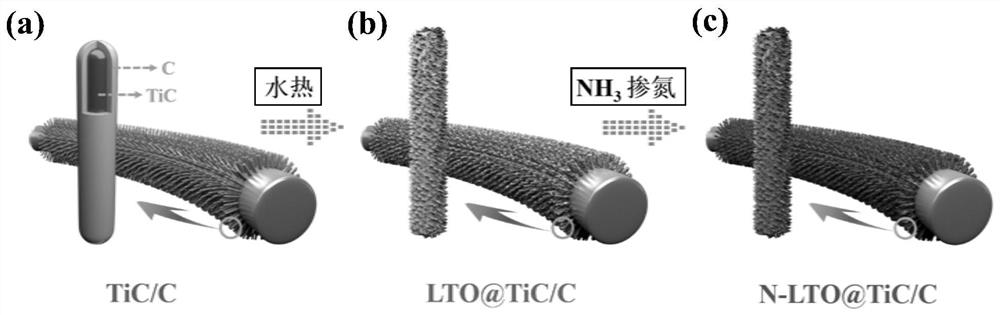 Titanium carbide/carbon core-shell nanowire array loaded nitrogen-doped lithium titanate composite material and its preparation method and application