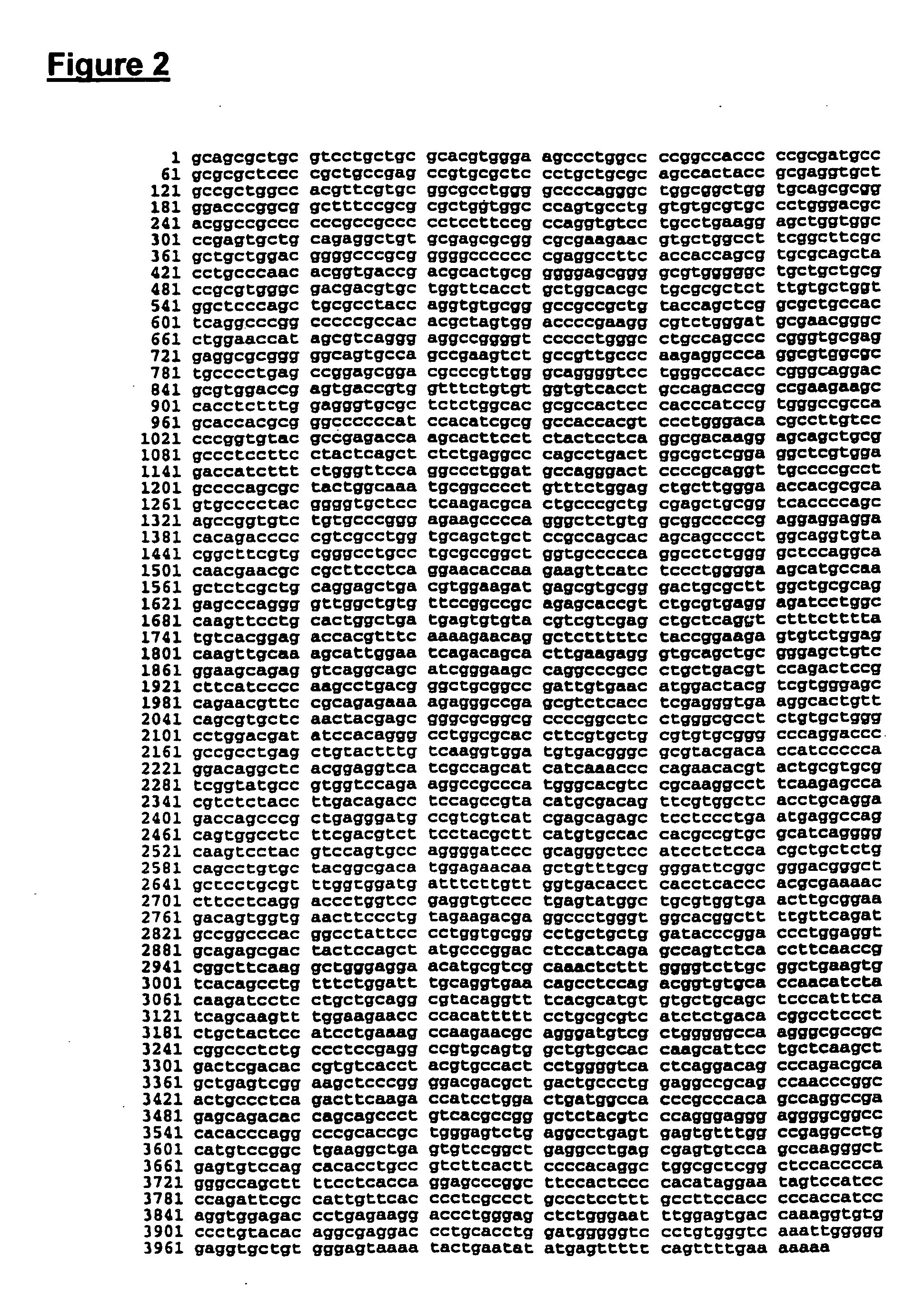 Cellular telomerase vaccine and its use for treating cancer