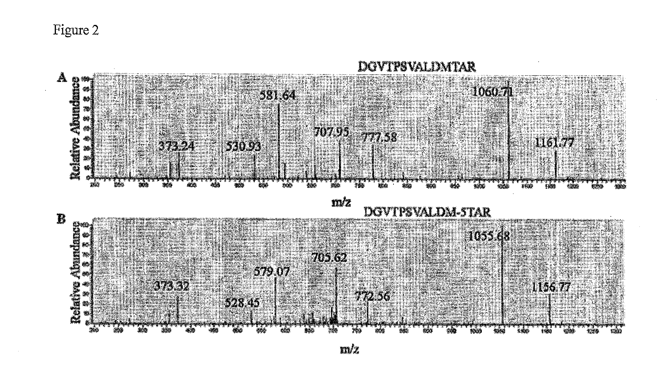 Viruses modified with unnatural moieties and methods of use thereof