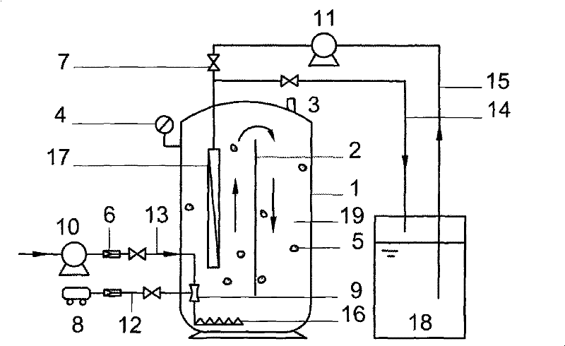 Pressure type membrane bioreactor technique of suspension bed and device