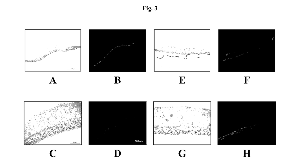 Methods for tissue fabrication