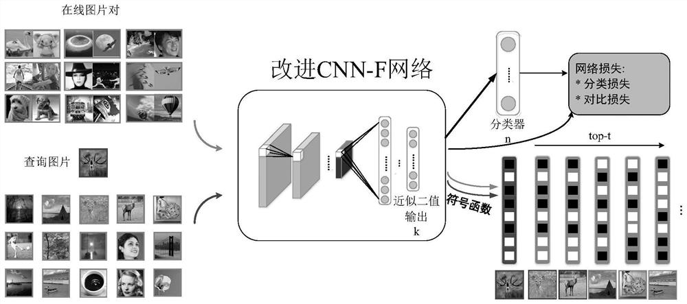 An Image Retrieval System and Method Based on Robust Deep Hash Network