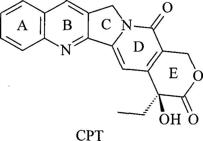 10-substitution homocamptothecin compounds and uses