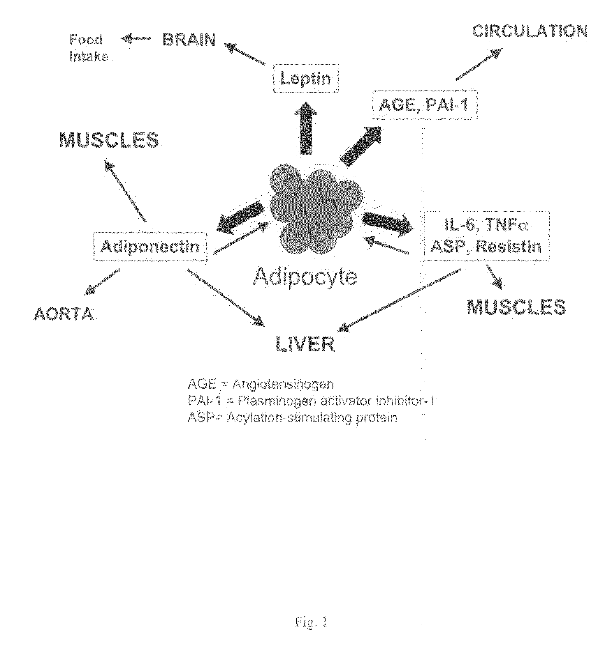 Methods for the treatment of HIV-1 related fat maldistribution, fasting hyperlipidemia and modification of adipocyte physiology